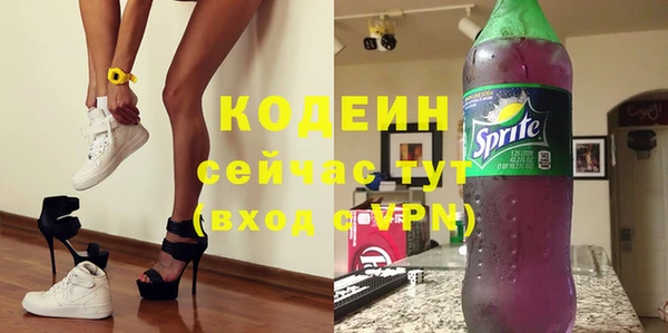 индика Новозыбков