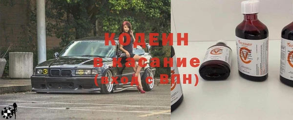 индика Новозыбков