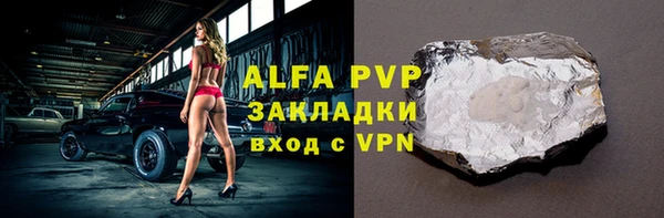 индика Новозыбков