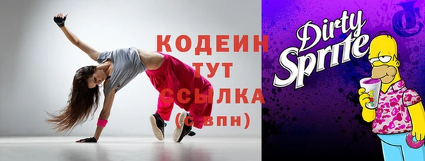 индика Новозыбков