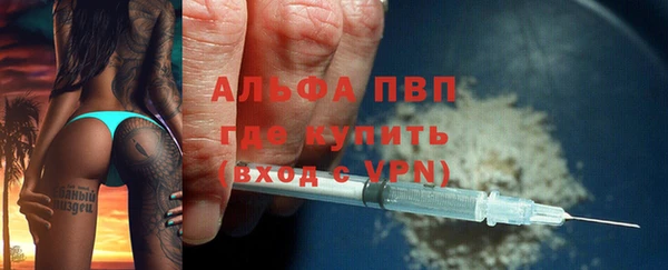 индика Новозыбков