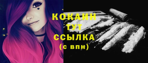 индика Новозыбков