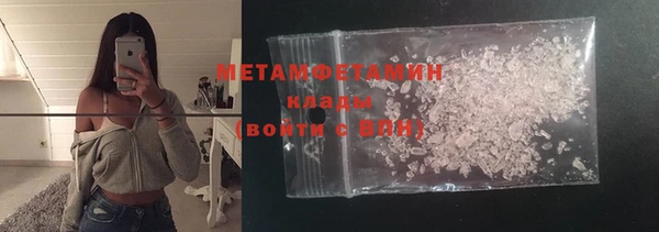 индика Новозыбков
