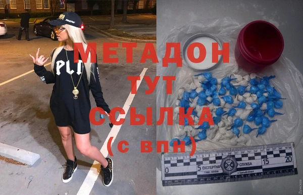 индика Новозыбков