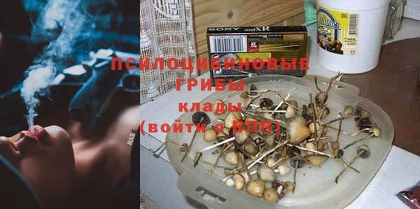 дурь Новодвинск