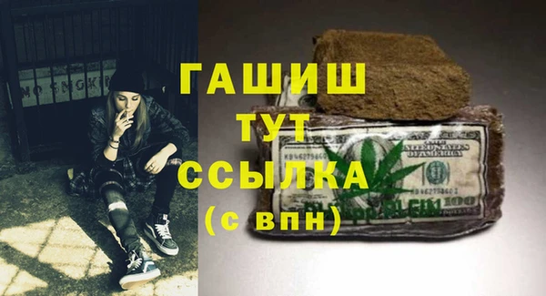 индика Новозыбков