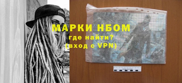 индика Новозыбков