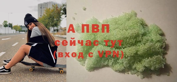 индика Новозыбков