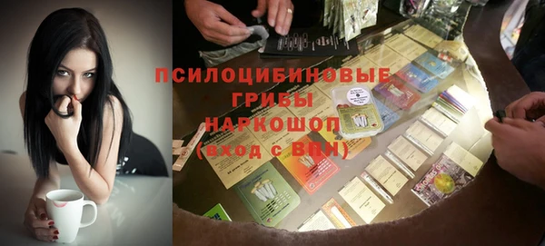 дурь Новодвинск