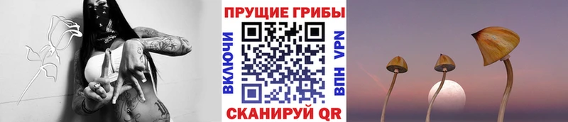 Псилоцибиновые грибы мицелий ссылка на мегу ONION Полевской цена